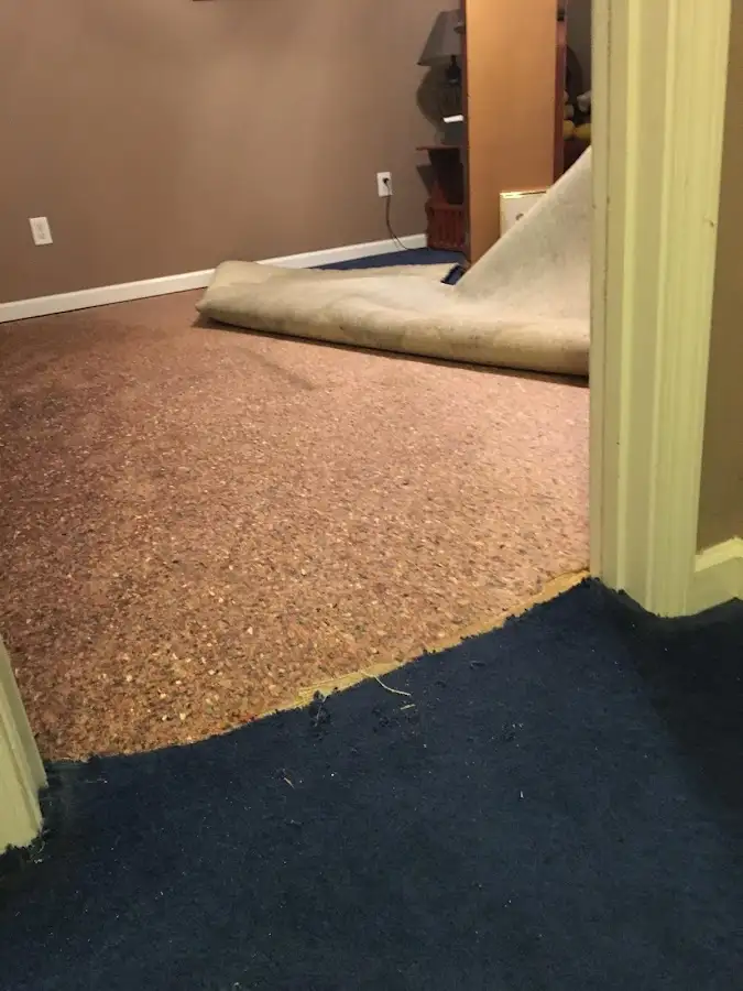 Carpet pad removal revealing water damage during Drying & Dehumidification in Steilacoom