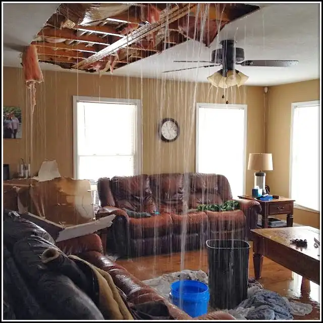Water Damage Restoration services in Steilacoom, WA