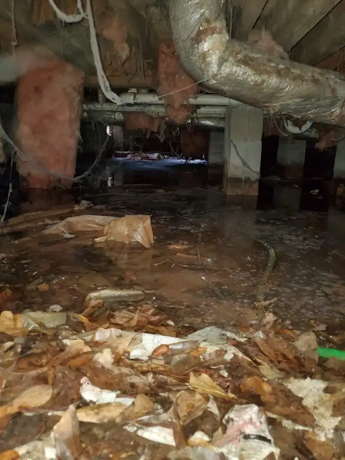 Crawl space flood assessment for Leak Detection & Repair in Steilacoom