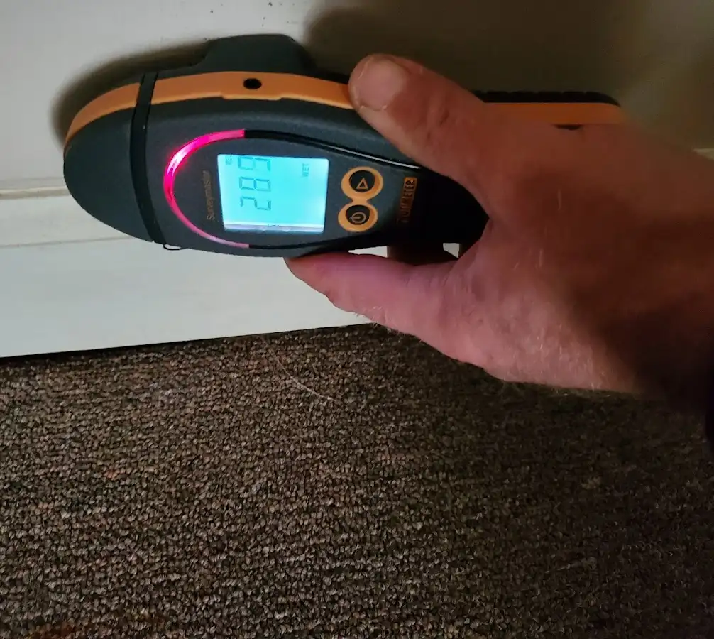 Moisture detection at baseboard during Burst Pipe Cleanup in Steilacoom